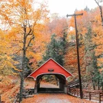 Medicare Advantage New Hampshire