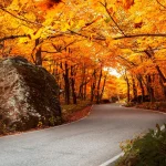 Medicare Brokers New Hampshire