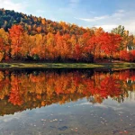 Medicare Giveback New Hampshire