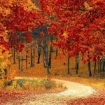 Medicare Supplement in New Hampshire