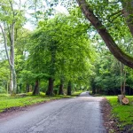 Medicare Advantage in New Hampshire